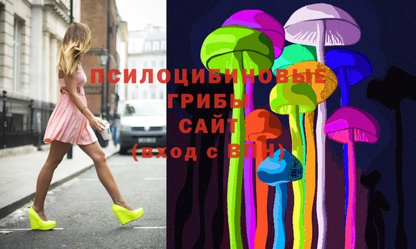 гидропоника Абаза